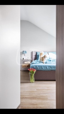 WhatsApp Image 2022-02-22 at 11.27.40 (6).jpeg